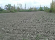 100 sot torpaq sahəsi, Oğuz r.