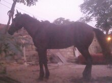 At