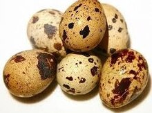 Bildirçin yumurtası