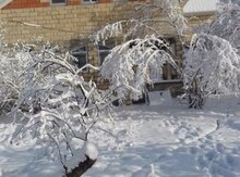 Bağ evi, ismayıllı r.
