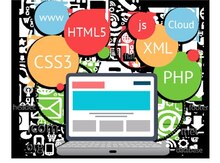 Web saytların və tətbiqetmələrin hazırlanması