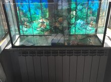 Akvarium