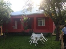 Həyət evi kirayə verilir, Qəbələ ş.