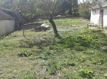 Bağ evi, Şamaxı r.