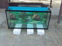 Akvarium
