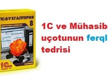 1C və mühasibat uçotunun fərqlı tədrisi