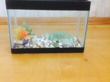 Mini akvarium