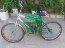 Velosibetlər