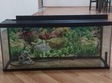Akvarium