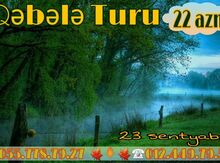 Qəbələ turu