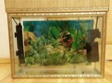 Akvarium