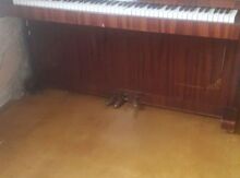 Pianino