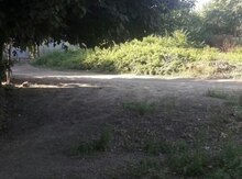 8 sot torpaq sahəsi, Masallı r.
