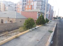 1 sot torpaq sahəsi, Masazır qəs.