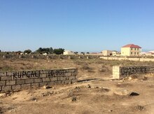 10 sot torpaq sahəsi, Albalı qəs.
