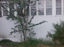 Həyət evi, İsmayıllı r.