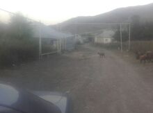 13 sot torpaq sahəsi, Gədəbəy r.