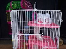 Qəfəs