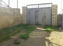 4 sot torpaq sahəsi, İsmət Qayıbov 56,
