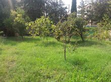 1.5 sot torpaq sahəsi, Hövsan qəs.