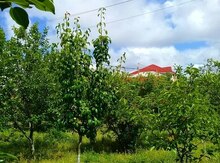 3 sot torpaq sahəsi,Zabrat 2 qəs.