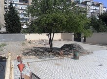 Ofis icarəyə verilir, Xətai m/s.