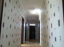 Həyət evi, Binəqədi r.
