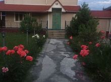 Villa kirayə verilir, Qusar r.