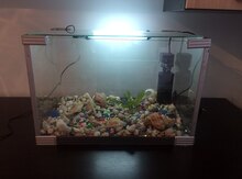 Akvarium