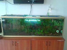 Akvarium