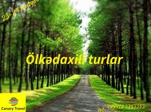 Ölkədaxili turlar