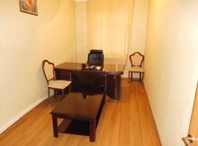 Ofis icarəyə verilir, Gənclik m.