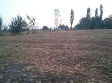 14 sot torpaq sahəsi,Qəbələ r.