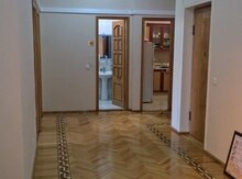 Ofis icarəyə verilir, E.Akademiyası m.