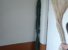Kaktus