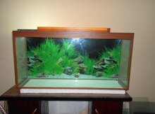 Akvarium