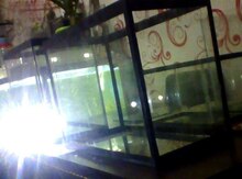 Akvarium