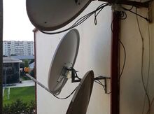 Peyk antenları