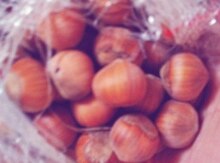 Fındıq