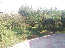 2 sot torpaq sahəsi, Sulutəpə qəs.