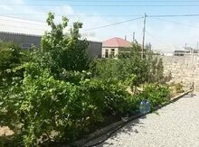 3.5 sot torpaq sahəsi, Bakıxanov qəs.