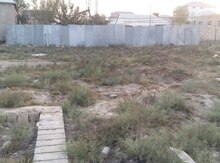 6 sot torpaq sahəsi, Biləcəri qəs.