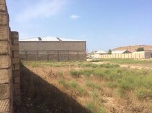 6.5 sot torpaq sahəsi, Novxanı qəs.
