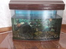 Akvarium