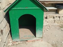 It yuvası