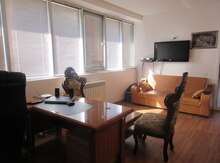 Ofis icarəyə verilir, Elmlər Akademiyası m.