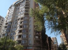 Ofis icarəyə verilir, Ş.Əzizbəyov-35 küç.