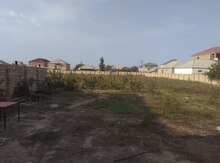 37.5 sot torpaq sahəsi, Saray qəs.