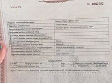 12 sot torpaq sahəsi, Novxanı qəs.
