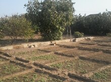 10 sot torpaq sahəsi, Bilgəh qəs.